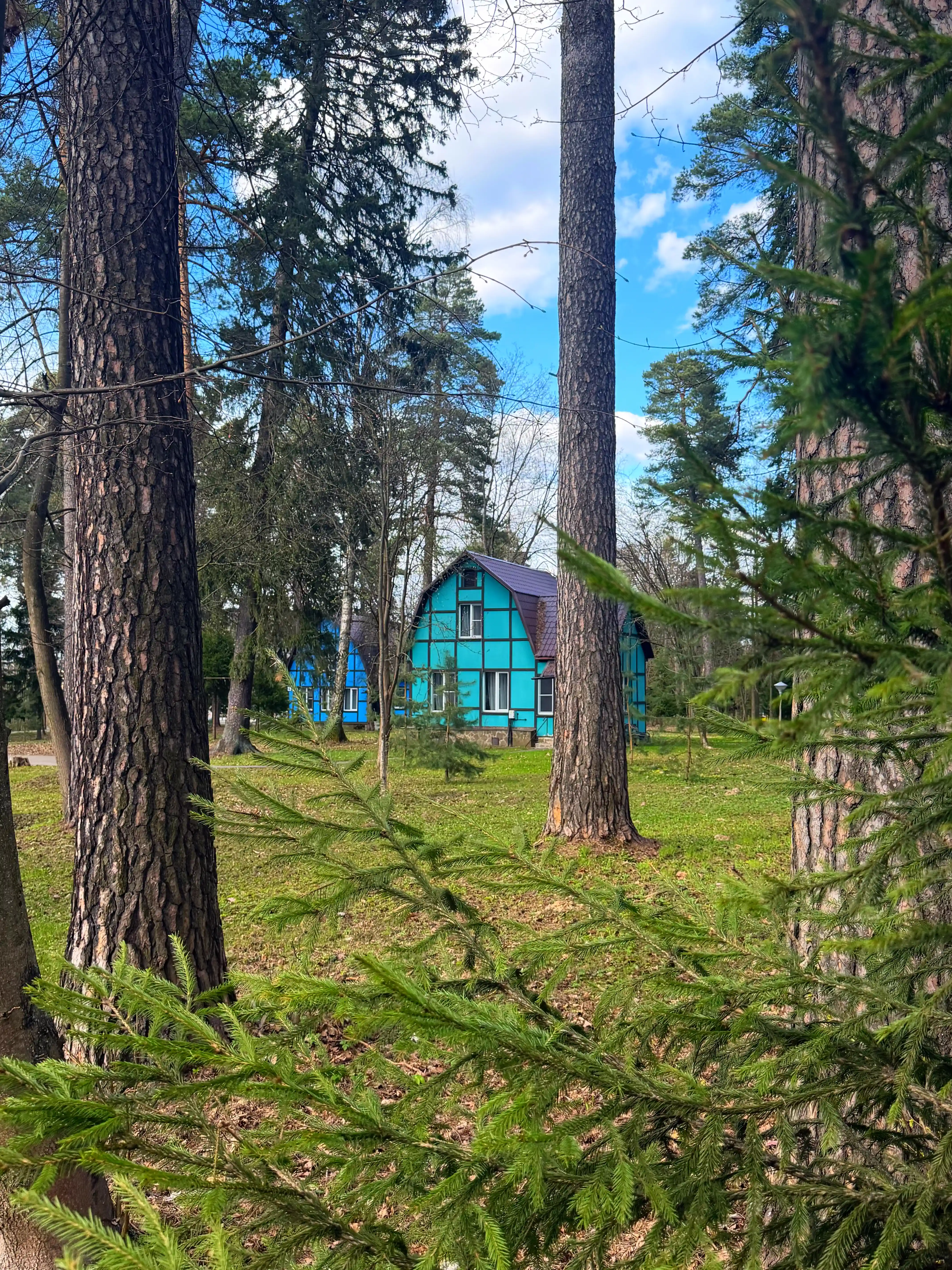 Панорама территории комплекса